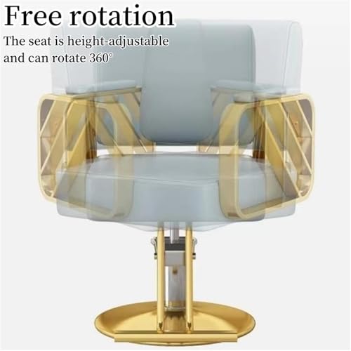 Height Adjustable Hairdressing Chair, Swivel Salon Chair, Simple Shampooing Chair, Suitable for Beauty Shop, Barber Shop, Tattoo Shop(Black,Gold Base)