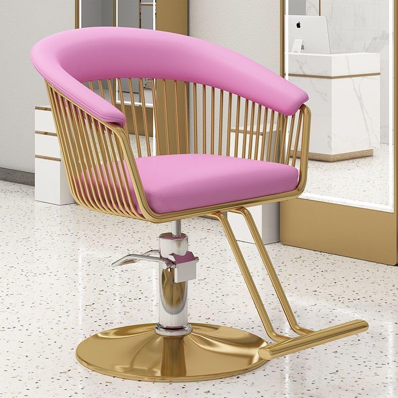 OSmari Salon Chair Heavy Duty for Stylist,Barber 360 Degree Swivel, Hydraulic Pump Hair Cutting, Beauty Spa Styling Hairdressing Tattoo Equipment,Black