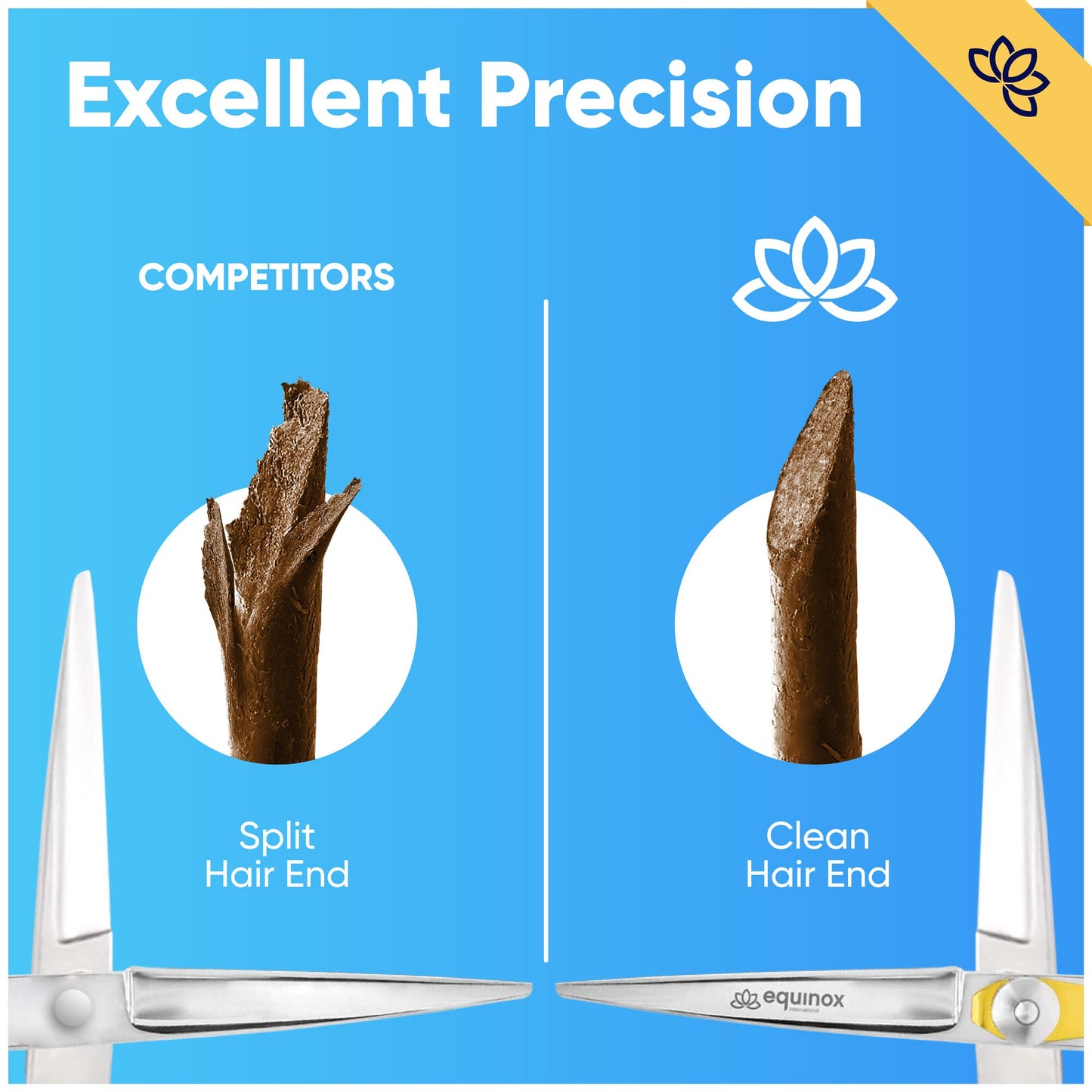 Equinox Professional Hair Scissors - 6.5 Inches Sharp Razor Edge Series Hair Cutting Scissors - Perfect Barber Hairdresser Shears - Japanese Stainless Steel Haircut Kit