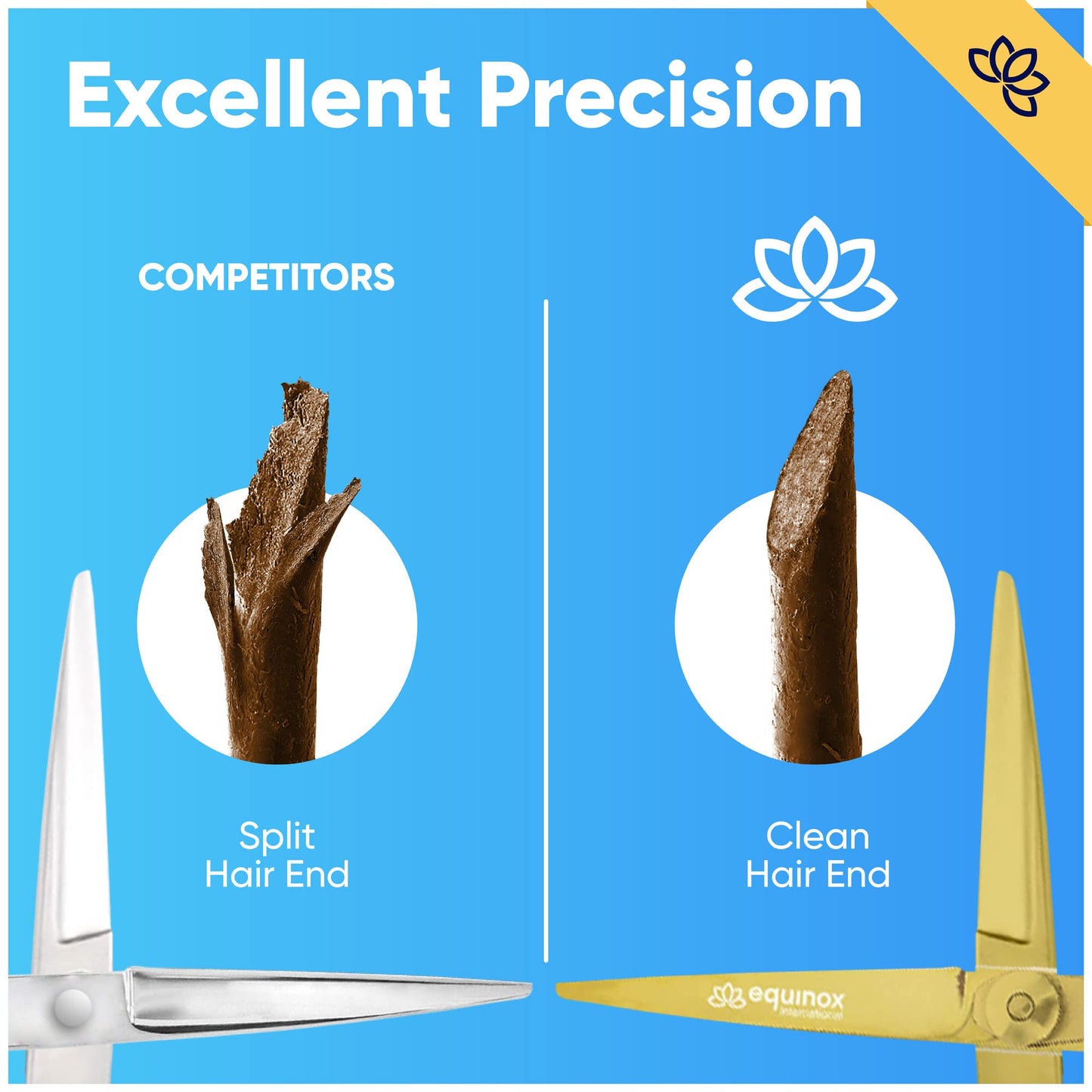 Equinox Professional Hair Scissors - 6.5 Inches Sharp Razor Edge Series Hair Cutting Scissors - Perfect Barber Hairdresser Shears - Japanese Stainless Steel Haircut Kit