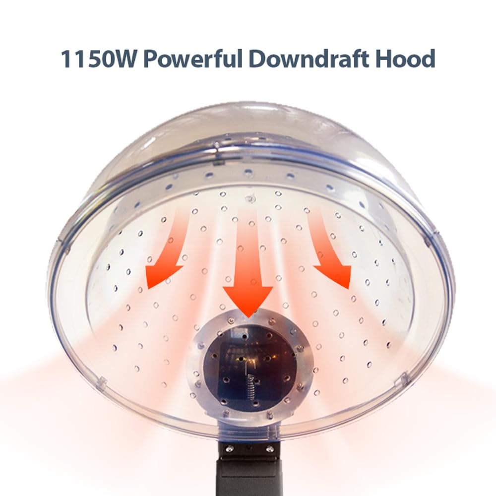 Hooded Conditioning Hair Dryer By Skin Act